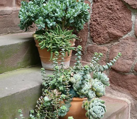 Am Park 에르푸르트